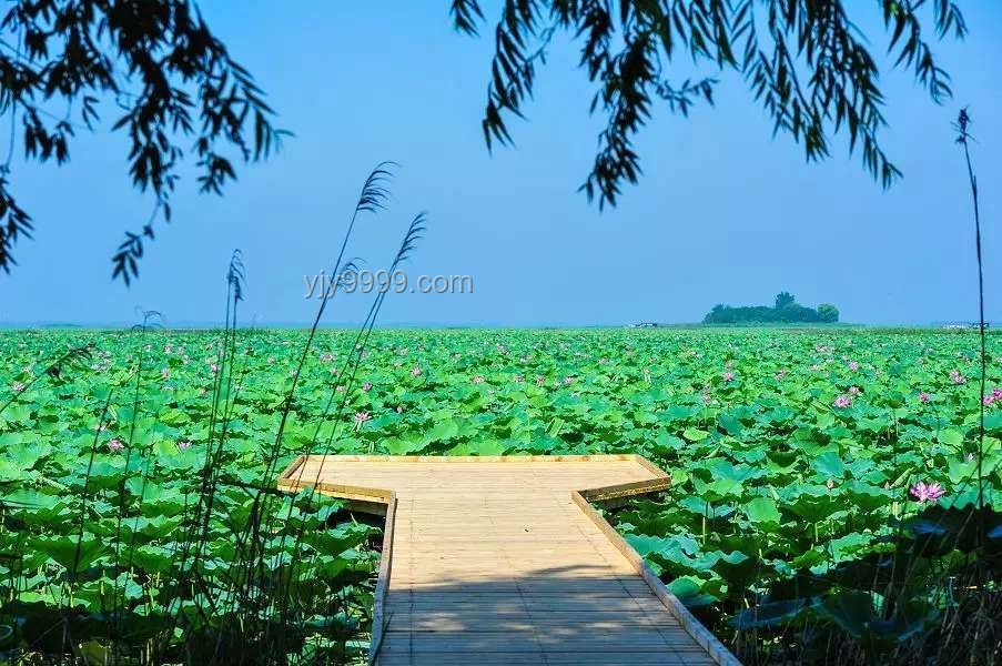 山东多个景区中高考生免费游玩方案指南